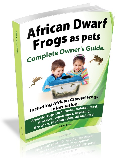 african dwarf frogs care ebook